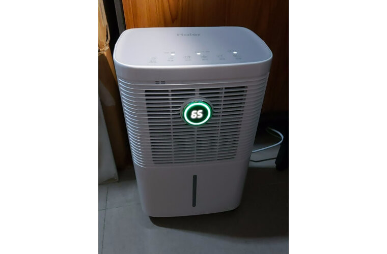 12 litri/giorno LED Smart Air Dehumidifier Mute Spazio confinato Piccole dimensioni Appartamento Rimozione dell'umidità