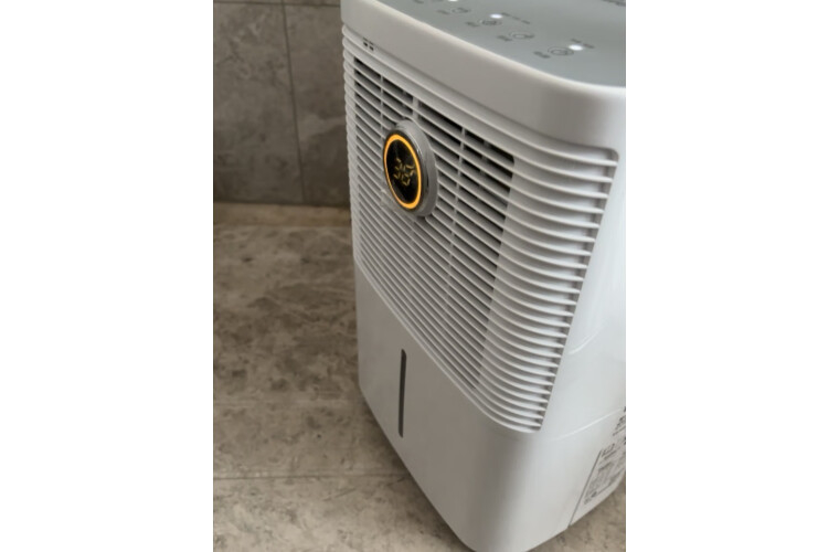 12 litri/giorno LED Smart Air Dehumidifier Mute Spazio confinato Piccole dimensioni Appartamento Rimozione dell'umidità