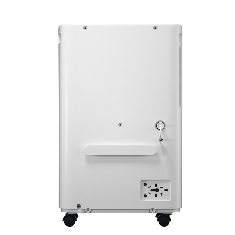 Deumidificatore mini LED da 10 litri per piccoli spazi chiusi e protezione da muffe con telecomando